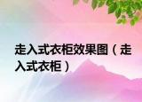 走入式衣柜效果图（走入式衣柜）