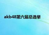 akb48第六届总选举