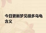 今日更新梦见很多乌龟含义
