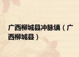 广西柳城县冲脉镇（广西柳城县）