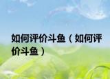 如何评价斗鱼（如何评价斗鱼）
