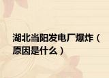 湖北当阳发电厂爆炸（原因是什么）