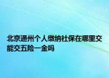 北京通州个人缴纳社保在哪里交能交五险一金吗