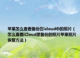 苹果怎么查看备份在icloud中的照片（怎么查看iCloud里备份的照片苹果照片恢复方法）