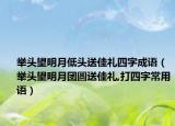 举头望明月低头送佳礼四字成语（举头望明月团圆送佳礼,打四字常用语）