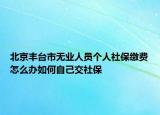 北京丰台市无业人员个人社保缴费怎么办如何自己交社保