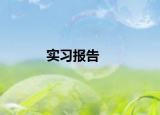 实习报告