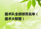 魔术队全部球员名单（魔术大联盟）