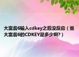 大富翁6输入cdkey之后没反应（谁大富翁6的CDKEY是多少啊?）