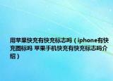 用苹果快充有快充标志吗（iphone有快充图标吗 苹果手机快充有快充标志吗介绍）