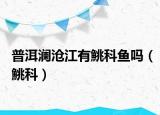 普洱澜沧江有鮡科鱼吗（鮡科）