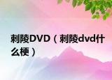 刺陵DVD（刺陵dvd什么梗）