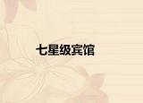 七星级宾馆