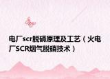 电厂scr脱硝原理及工艺（火电厂SCR烟气脱硝技术）