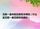 五险一金中的五险包含哪些（什么是五险一金五险包括哪些）