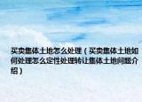 买卖集体土地怎么处理（买卖集体土地如何处理怎么定性处理转让集体土地问题介绍）