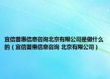 宜信普惠信息咨询北京有限公司是做什么的（宜信普惠信息咨询 北京有限公司）
