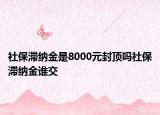 社保滞纳金是8000元封顶吗社保滞纳金谁交