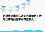 狗冠状病毒多久才能养其他狗（犬冠状病毒能在家中存活多久）