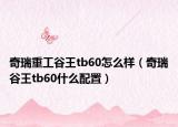 奇瑞重工谷王tb60怎么样（奇瑞谷王tb60什么配置）