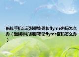 魅族手机忘记锁屏密码和flyme密码怎么办（魅族手机锁屏忘记flyme密码怎么办）