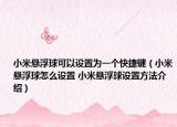 小米悬浮球可以设置为一个快捷键（小米悬浮球怎么设置 小米悬浮球设置方法介绍）