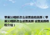 苹果13相机怎么设置自拍美颜（苹果13相机怎么设置美颜 设置美颜教程介绍）