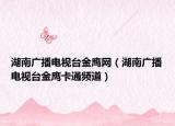 湖南广播电视台金鹰网（湖南广播电视台金鹰卡通频道）