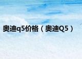奥迪q5价格（奥迪Q5）