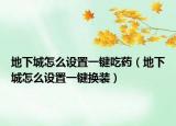 地下城怎么设置一键吃药（地下城怎么设置一键换装）
