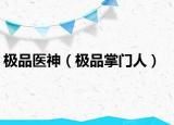 极品医神（极品掌门人）