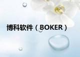 博科软件（BOKER）