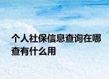 个人社保信息查询在哪查有什么用