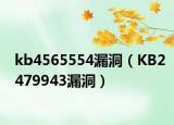 kb4565554漏洞（KB2479943漏洞）