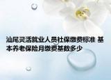 汕尾灵活就业人员社保缴费标准 基本养老保险月缴费基数多少