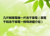 几斤鲜草莓做一斤冻干草莓（草莓干和冻干草莓一样吗详细介绍）