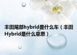 丰田尾部hybrid是什么车（丰田Hybrid是什么意思）