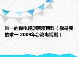 唯一的你电视剧百度百科（你是我的唯一 2009年台湾电视剧）