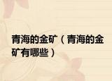 青海的金矿（青海的金矿有哪些）
