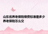 山东省养老保险缴费标准是多少养老保险怎么交