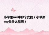 小苹果mv中那个女的（小苹果mv是什么意思）