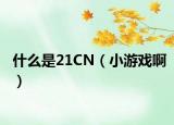 什么是21CN（小游戏啊）