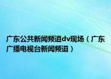 广东公共新闻频道dv现场（广东广播电视台新闻频道）