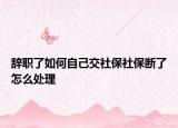 辞职了如何自己交社保社保断了怎么处理
