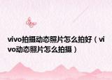 vivo拍摄动态照片怎么拍好（vivo动态照片怎么拍摄）