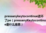 pressanykeytocontinue进不了pe（pressanyKeytocontinue是什么意思）