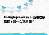 triangleplayer.exe-应用程序错误（是什么意思 图）