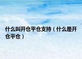 什么叫开仓平仓支持（什么是开仓平仓）