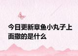 今日更新章鱼小丸子上面撒的是什么