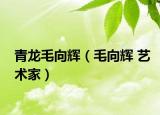 青龙毛向辉（毛向辉 艺术家）